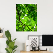 Blaasboombladeren Poster (Thuiskantoor)