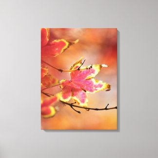 Blaasdoek van aple canvas afdruk