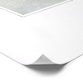 Blaaskampioen; Witte Ben - Silene latifolia Poster (Hoek)