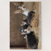 blaaskattenpuzzel legpuzzel (Verticaal)