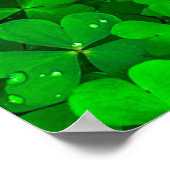 Blaasklaver groene shamrock spring poster (Hoek)