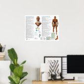 Blaasmeridiaan Acupunctuurpunten Poster (Thuiskantoor)