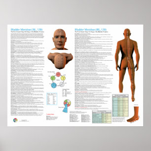 Blaasmeridiaan Acupunctuurpunten Poster