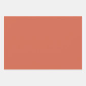  blaaspatroon inpakpapier vel (Voorkant 3)