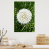 blaasstip poster (Keuken)