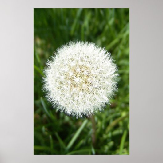 blaasstip poster (Voorkant)