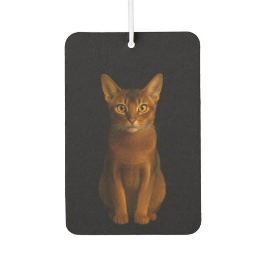 Black 4 Luxe Car Air Fresheners, Abyssinian Beauty Luchtverfrisser (Voorkant)