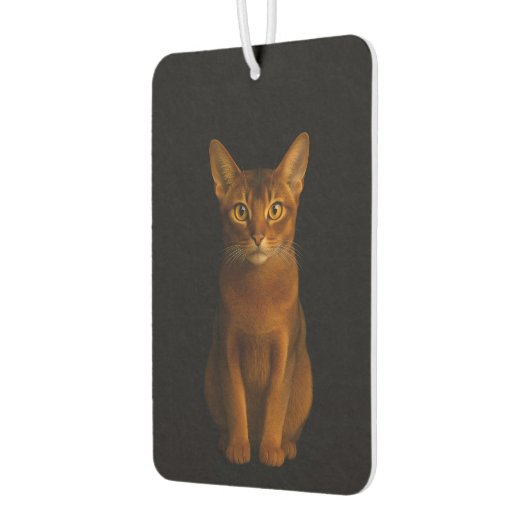 Black 4 Luxe Car Air Fresheners, Abyssinian Beauty Luchtverfrisser (Links)