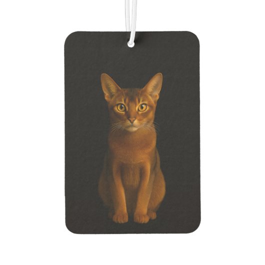 Black 4 Luxe Car Air Fresheners, Abyssinian Beauty Luchtverfrisser (Achterkant)