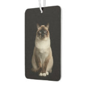 Black 4 Luxe Car Air Fresheners, Birmanese Cat Luchtverfrisser (Links)