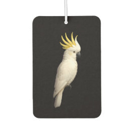 Black 4 Luxe Car Air Fresheners, Crested Cockatoo Luchtverfrisser