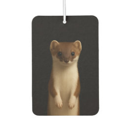 Black 4 Luxe Car Air Fresheners, Elegant Weasel Luchtverfrisser