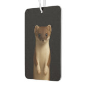 Black 4 Luxe Car Air Fresheners, Elegant Weasel Luchtverfrisser (Links)