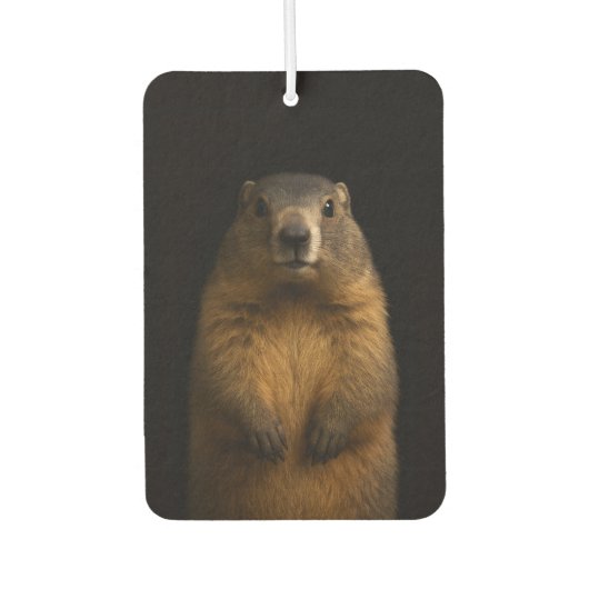 Black 4 Luxe Car Air Fresheners, Fluffy Marmot Luchtverfrisser (Voorkant)