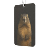Black 4 Luxe Car Air Fresheners, Fluffy Marmot Luchtverfrisser (Links)