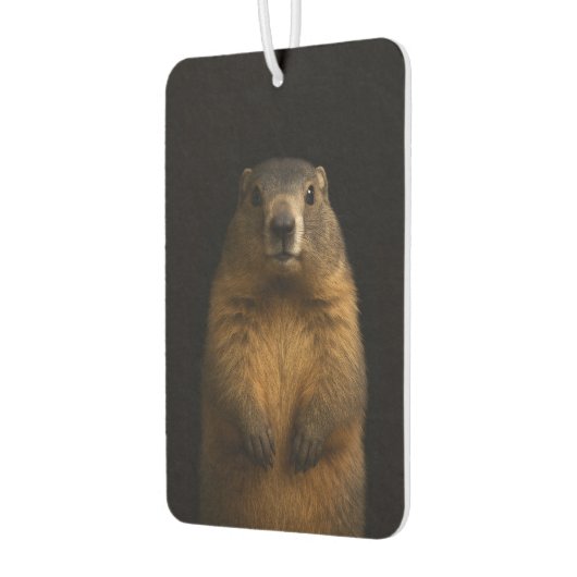 Black 4 Luxe Car Air Fresheners, Fluffy Marmot Luchtverfrisser (Links)
