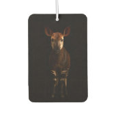 Black 4 Luxe Car Air Fresheners, Forest Okapi Luchtverfrisser (Voorkant)