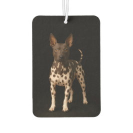 Black 4 Luxe Car Air Fresheners, Hairless Terrier Luchtverfrisser
