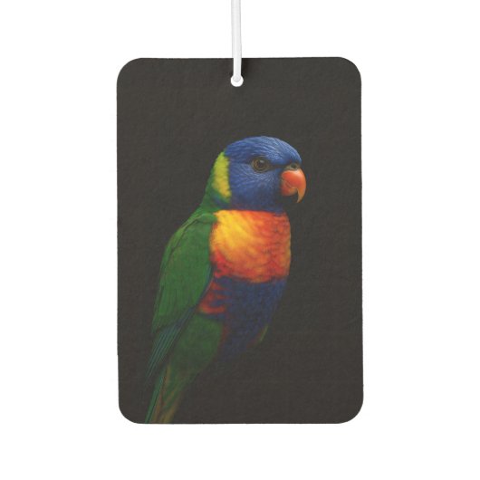 Black 4 Luxe Car Air Fresheners, Lorikeet Parrot Luchtverfrisser (Voorkant)