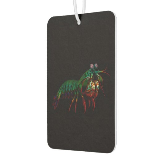 Black 4 Luxe Car Air Fresheners, Mantis Shrimp Luchtverfrisser (Links)