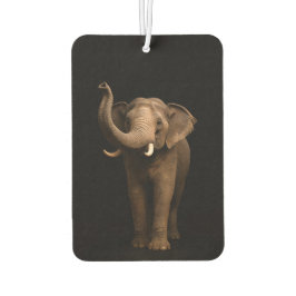 Black 4 Luxe Car Air Fresheners, Mighty Elephant Luchtverfrisser