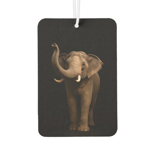 Black 4 Luxe Car Air Fresheners, Mighty Elephant Luchtverfrisser (Achterkant)