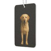Black 4 Luxe Car Air Fresheners Minimal Labrador Luchtverfrisser (Links)