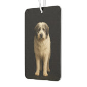 Black 4 Luxe Car Air Fresheners Mioritic Shepherd Luchtverfrisser (Links)