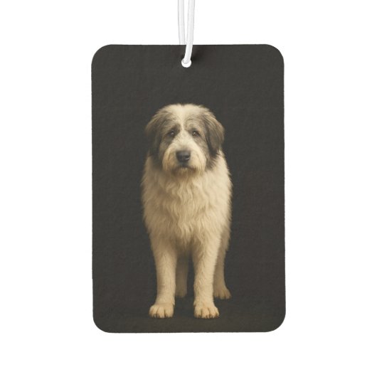 Black 4 Luxe Car Air Fresheners Mioritic Shepherd Luchtverfrisser (Achterkant)