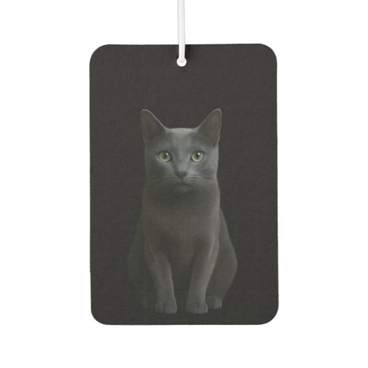 Black 4 Luxe Car Air Fresheners, Russian Blue Cat Luchtverfrisser (Voorkant)