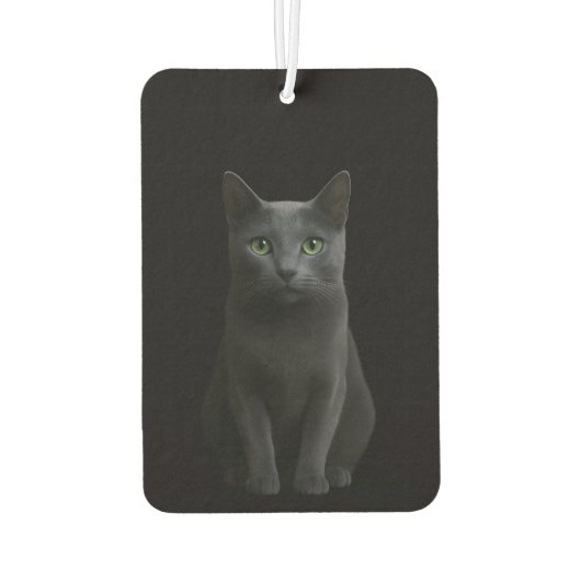 Black 4 Luxe Car Air Fresheners, Russian Blue Cat Luchtverfrisser (Achterkant)
