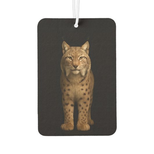 Black 4 Luxe Car Air Fresheners, Silent Lynx Luchtverfrisser (Achterkant)