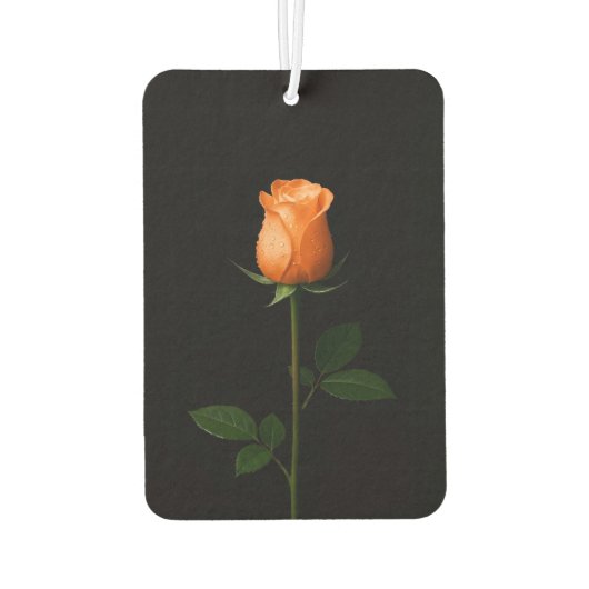 Black 4 Luxe Car Air Fresheners Sunset Orange Rose Luchtverfrisser (Achterkant)
