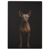 Black 4 Luxe Clipboard, Argentina Pila Dog Klembord (Achterkant)