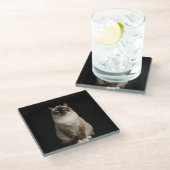 Black 4 Luxe Glass coaster, Birmanese Cat Glazen Onderzetter (Schuin)