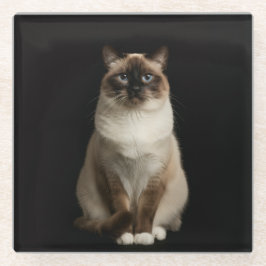 Black 4 Luxe Glass coaster, Birmanese Cat Glazen Onderzetter