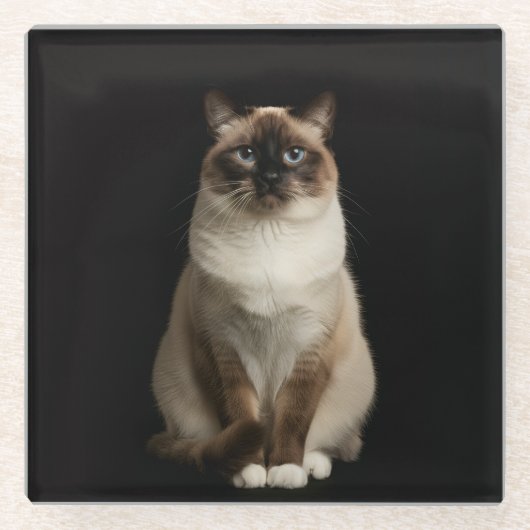 Black 4 Luxe Glass coaster, Birmanese Cat Glazen Onderzetter (Voorkant)