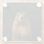 Black 4 Luxe Glass coaster, Fluffy Marmot Glazen Onderzetter (Achterkant)