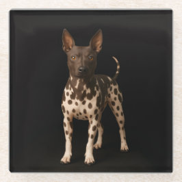 Black 4 Luxe Glass coaster, Hairless Terrier Dog Glazen Onderzetter