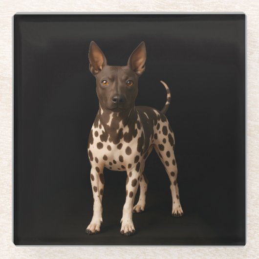 Black 4 Luxe Glass coaster, Hairless Terrier Dog Glazen Onderzetter (Voorkant)