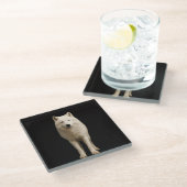 Black 4 Luxe Glass coaster, Ivory Arctic Wolf Glazen Onderzetter (Schuin)