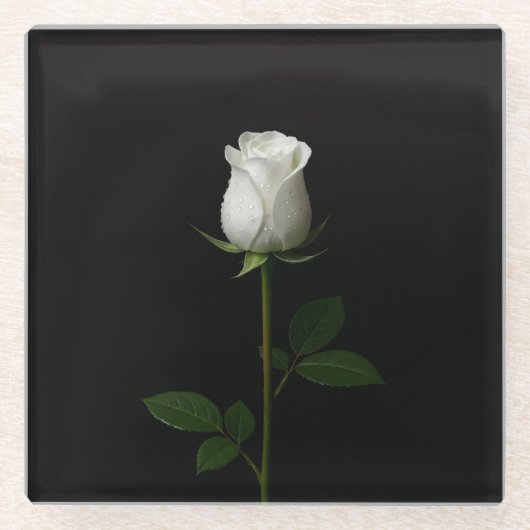 Black 4 Luxe Glass coaster, Pure White Rose Glazen Onderzetter (Voorkant)