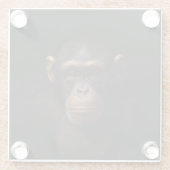 Black 4 Luxe Glass coaster, Serene Chimpanzee Glazen Onderzetter (Achterkant)
