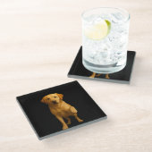 Black 4 Luxe Glass coaster, Tender Labrador Glazen Onderzetter (Schuin)
