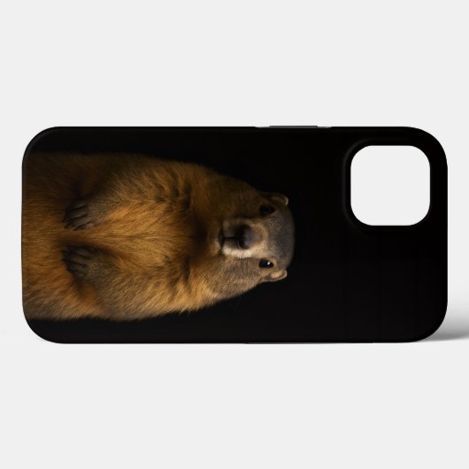 Black 4 Luxe iPhone 13, Fluffy Marmot Case-Mate iPhone Case (Achterkant (horizontaal))