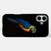 Black 4 Luxe iPhone 16 Plus, Blue Yellow Macaw Case-Mate iPhone Case (Achterkant (horizontaal))