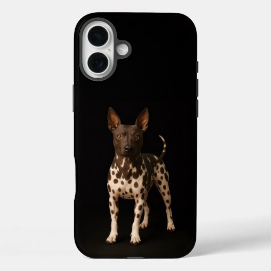 Black 4 Luxe iPhone 16 Plus, Hairless Terrier Dog Case-Mate iPhone Case (Achterkant)