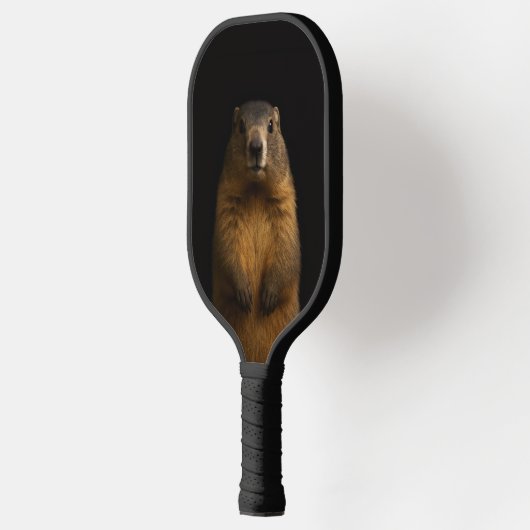 Black 4 Luxe Pickleball Paddle, Fluffy Marmot Paddle (Links)