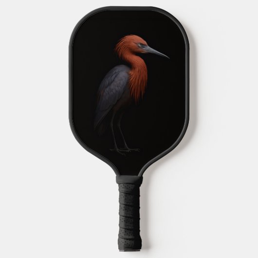 Black 4 Luxe Pickleball Paddle, Reddish Egret Pickleball Paddle (Voorkant)