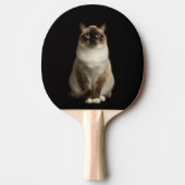 Black 4 Luxe ping pong paddle, Birmanese Cat Tafeltennisbatje (Voorkant)